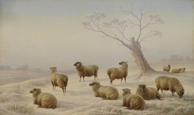 Moutons dans la neige, 1880 - Charles Jones